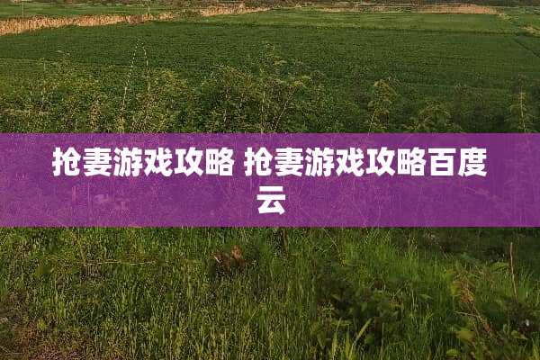 抢妻游戏攻略 抢妻游戏攻略百度云