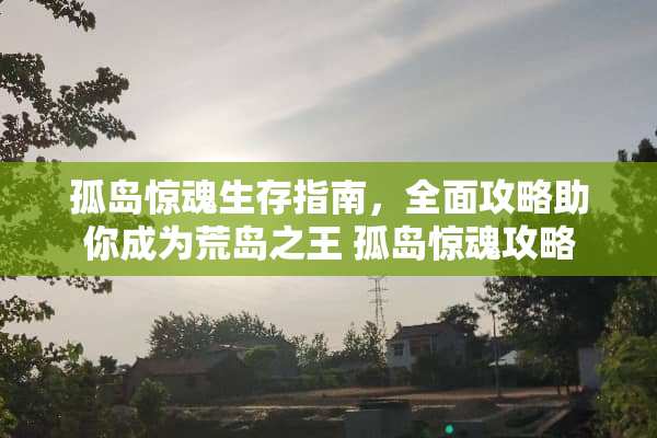 孤岛惊魂生存指南，全面攻略助你成为荒岛之王 孤岛惊魂攻略