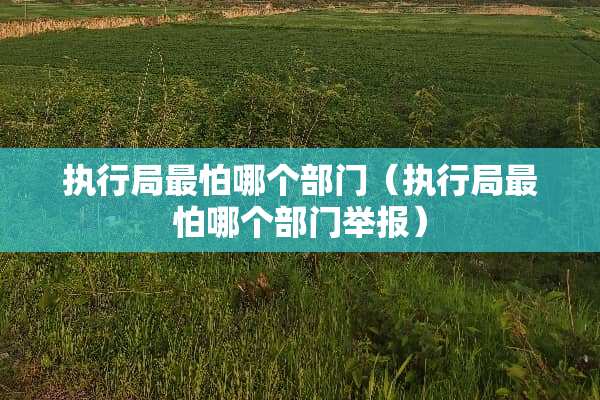 执行局最怕哪个部门（执行局最怕哪个部门举报）