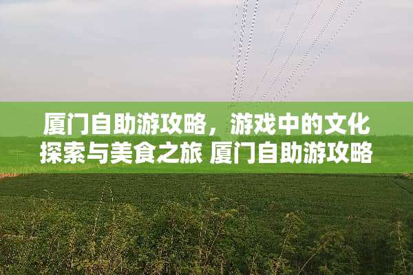 厦门自助游攻略，游戏中的文化探索与美食之旅 厦门自助游攻略游戏