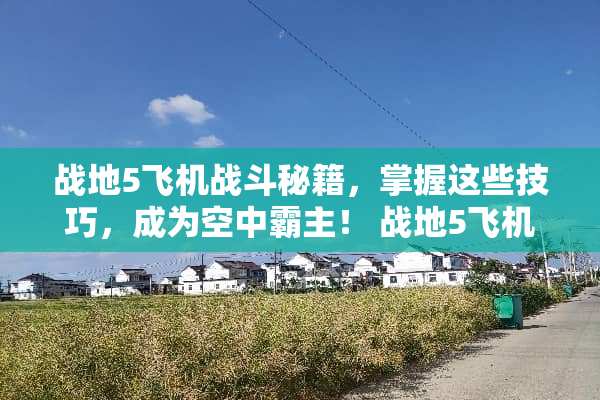 战地5飞机战斗秘籍，掌握这些技巧，成为空中霸主！ 战地5飞机游戏攻略