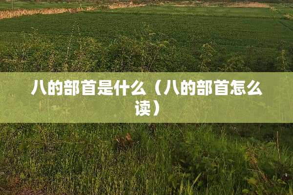 八的部首是什么（八的部首怎么读）