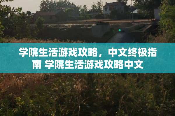 学院生活游戏攻略，中文终极指南 学院生活游戏攻略中文