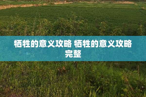 牺牲的意义攻略 牺牲的意义攻略完整