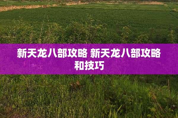 新天龙八部攻略 新天龙八部攻略和技巧