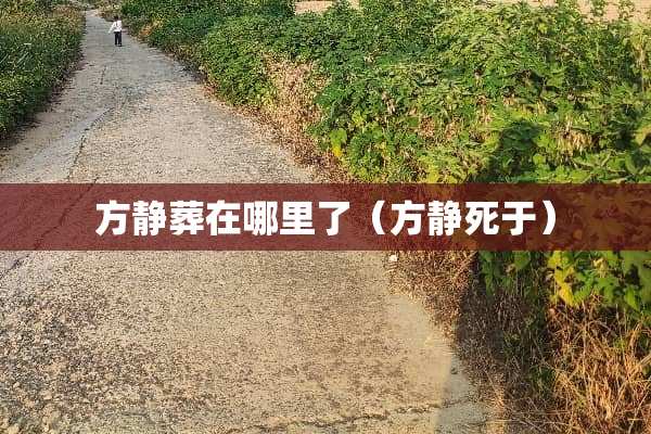 方静葬在哪里了（方静死于）