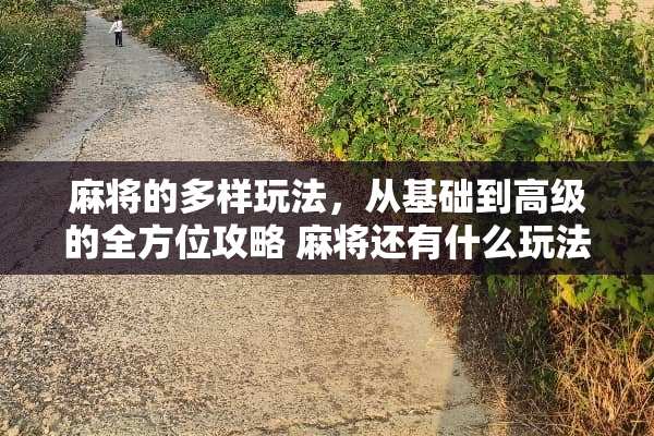 **的多样玩法，从基础到高级的全方位攻略**还有什么玩法