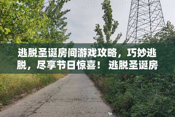 逃脱圣诞房间游戏攻略，巧妙逃脱，尽享节日惊喜！ 逃脱圣诞房间游戏攻略