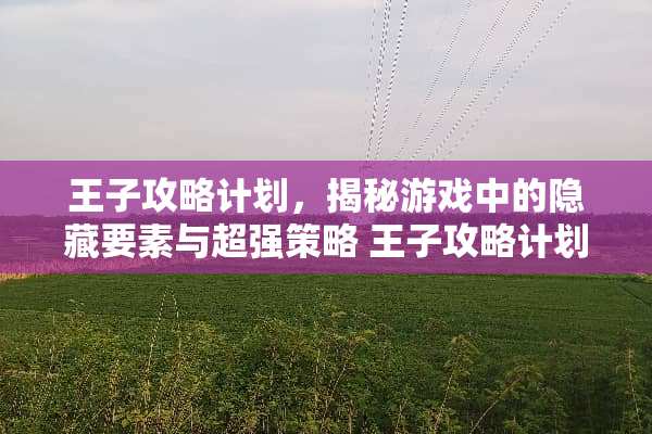 王子攻略计划，揭秘游戏中的隐藏要素与超强策略 王子攻略计划