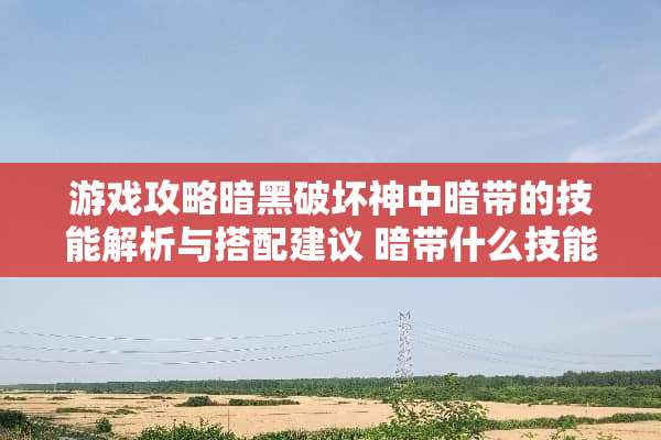游戏攻略暗黑破坏神中暗带的技能解析与搭配建议 暗带什么技能