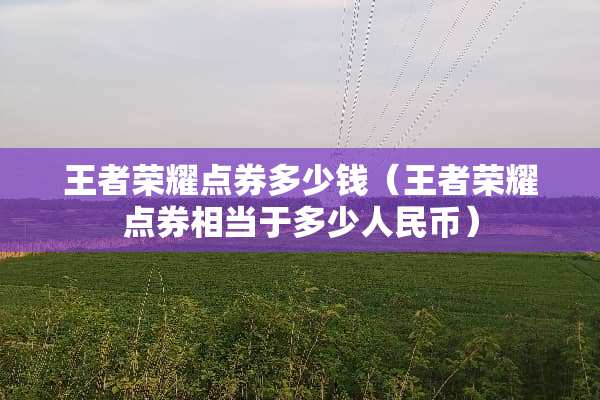 王者荣耀点券多少钱（王者荣耀点券相当于多少人民币）