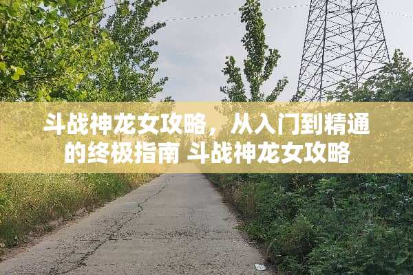 斗战神龙女攻略，从入门到精通的终极指南 斗战神龙女攻略