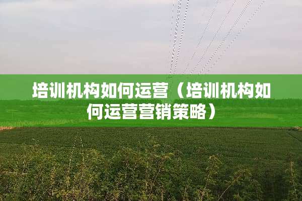 培训机构如何运营（培训机构如何运营营销策略）
