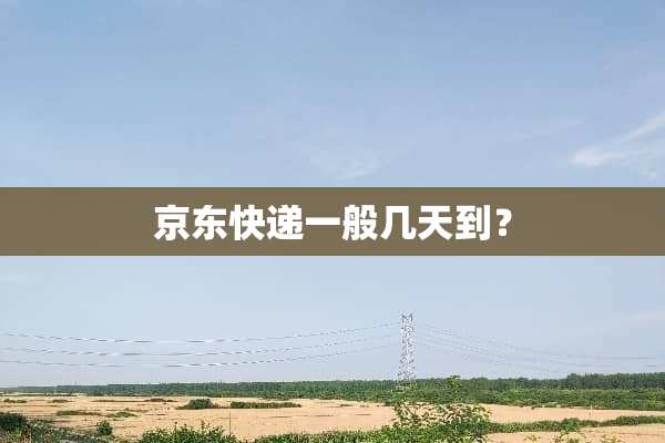 京东快递一般几天到？
