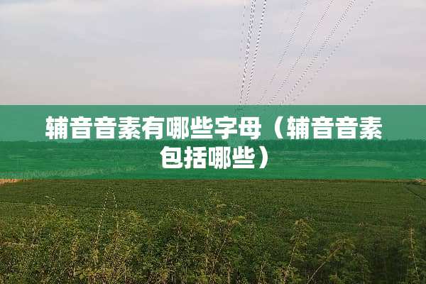 辅音音素有哪些字母（辅音音素包括哪些）