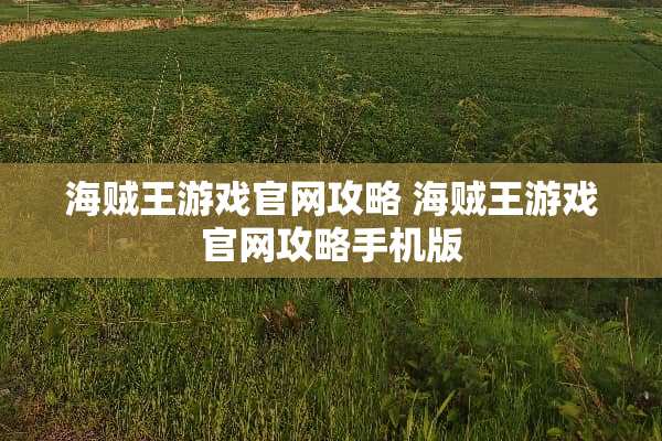 海贼王游戏官网攻略 海贼王游戏官网攻略手机版
