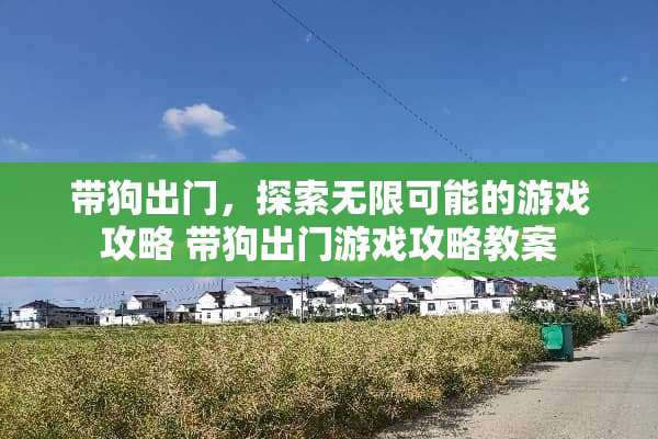 带狗出门，探索无限可能的游戏攻略 带狗出门游戏攻略教案