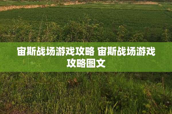 宙斯战场游戏攻略 宙斯战场游戏攻略图文