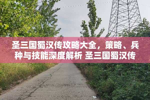 圣三国蜀汉传攻略大全，策略、兵种与技能深度解析 圣三国蜀汉传攻略大全