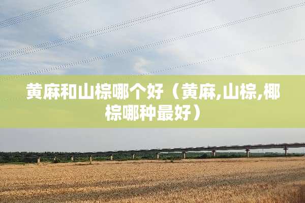 黄麻和山棕哪个好（黄麻,山棕,椰棕哪种最好）