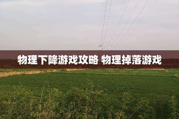 物理下降游戏攻略 物理掉落游戏