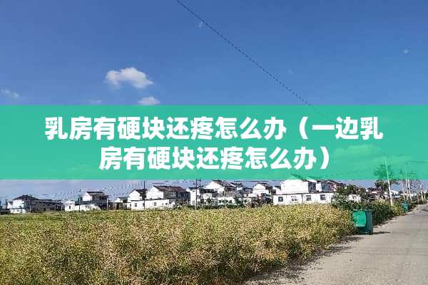 *房有硬块还疼怎么办（一边*房有硬块还疼怎么办）