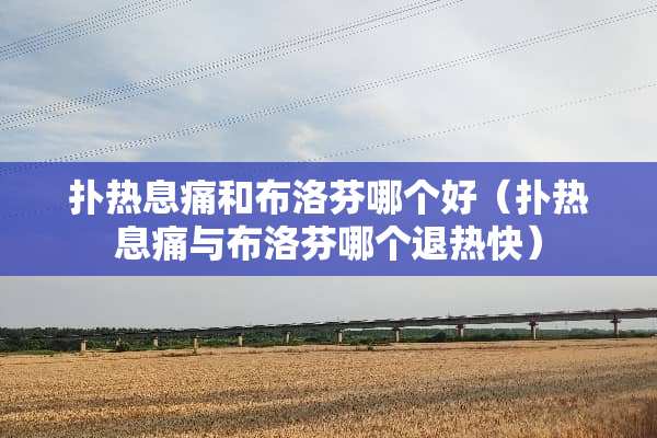 扑热息痛和布洛芬哪个好（扑热息痛与布洛芬哪个退热快）