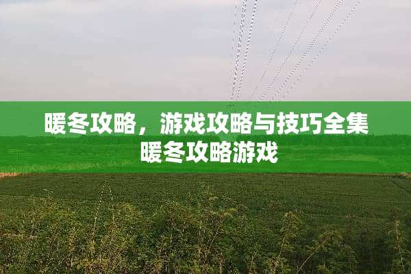 暖冬攻略，游戏攻略与技巧全集 暖冬攻略游戏