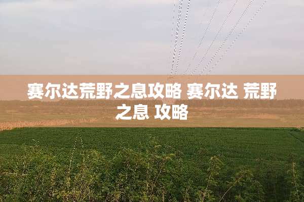 赛尔达荒野之息攻略 赛尔达 荒野之息 攻略