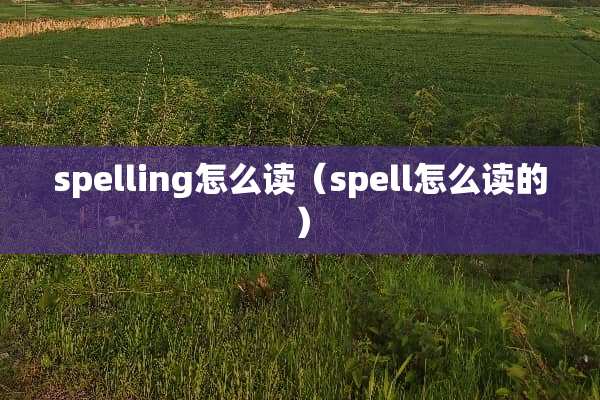 spelling怎么读（spell怎么读的）