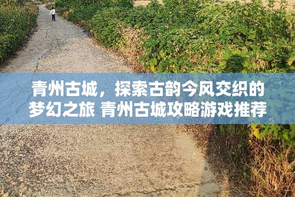 青州古城，探索古韵今风交织的梦幻之旅 青州古城攻略游戏推荐