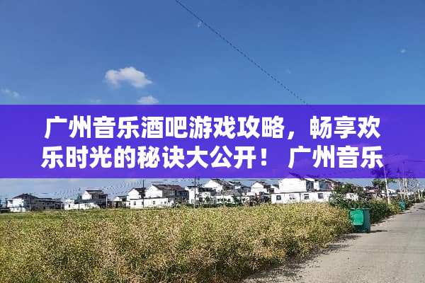 广州音乐酒吧游戏攻略，畅享欢乐时光的秘诀大公开！ 广州音乐酒吧游戏攻略
