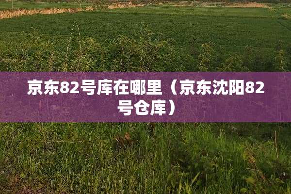 京东82号库在哪里（京东沈阳82号仓库）
