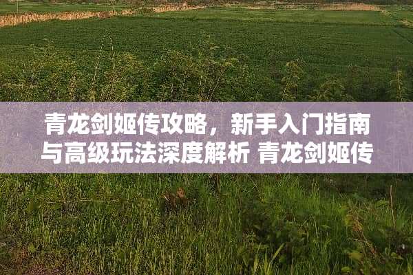 青龙剑姬传攻略，新手入门指南与高级玩法深度解析 青龙剑姬传攻略