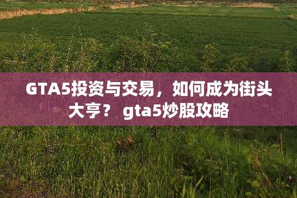 GTA5投资与交易，如何成为街头大亨？ gta5炒股攻略
