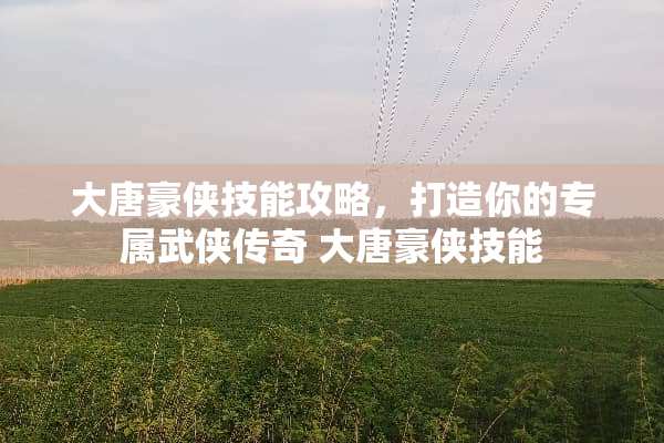 大唐豪侠技能攻略，打造你的专属武侠传奇 大唐豪侠技能