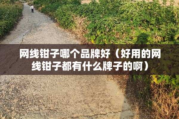 网线钳子哪个品牌好（好用的网线钳子都有什么牌子的啊）