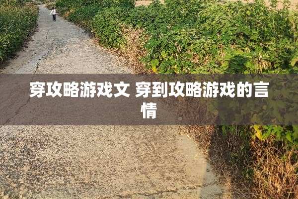 穿攻略游戏文 穿到攻略游戏的言情
