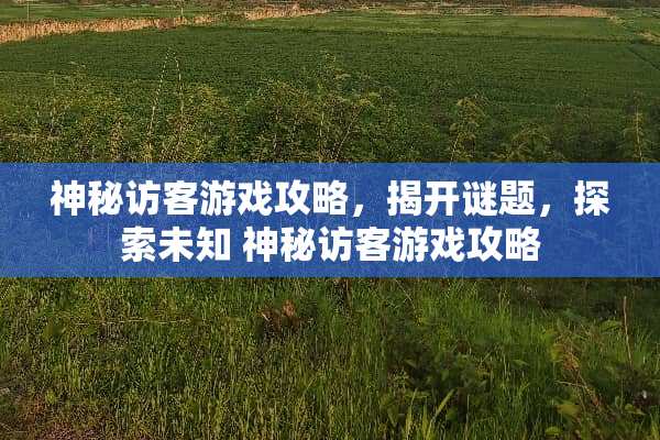 神秘访客游戏攻略,揭开谜题,探索未知 神秘访客游戏攻略 神秘访客游戏攻略,揭开谜题,探索未知 神秘访客游戏攻略