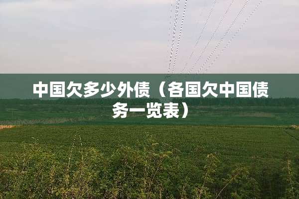 中国欠多少外债（各国欠中国债务一览表）