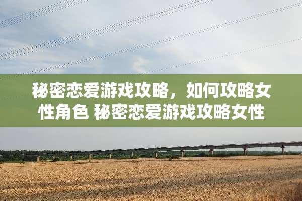 秘密恋爱游戏攻略，如何攻略女性角色 秘密恋爱游戏攻略女性