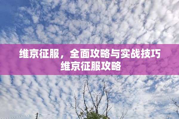 维京征服，全面攻略与实战技巧 维京征服攻略