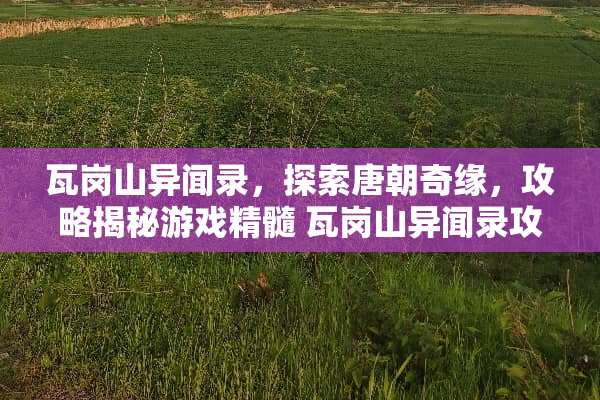 瓦岗山异闻录，探索唐朝奇缘，攻略揭秘游戏精髓 瓦岗山异闻录攻略