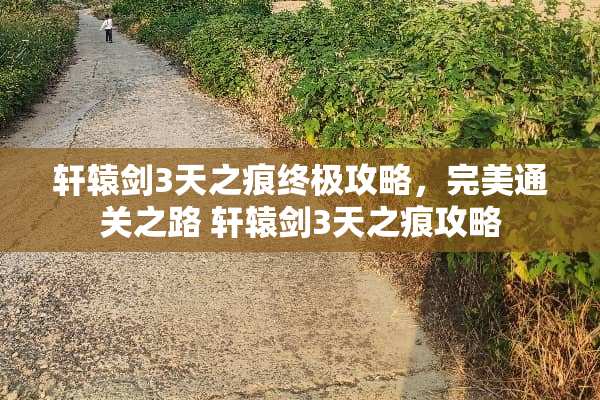 轩辕剑3天之痕终极攻略，完美通关之路 轩辕剑3天之痕攻略