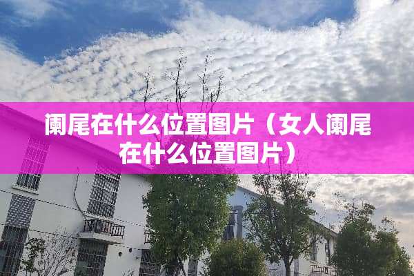 阑尾在什么位置图片(女人阑尾在什么位置图片) 阑尾在什么位置图片(女人阑尾在什么位置图片)