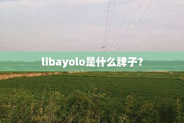 libayolo是什么牌子？