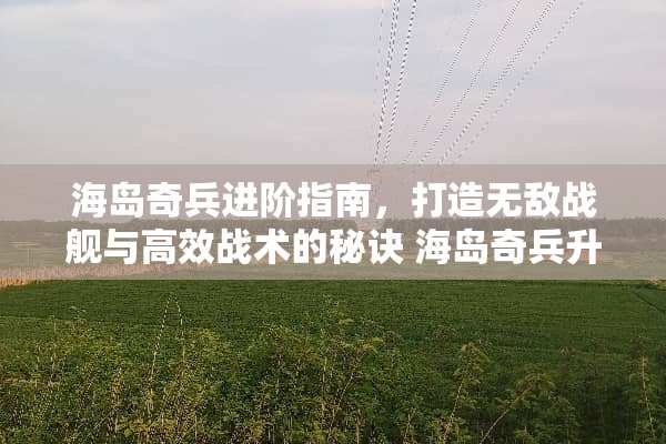 海岛奇兵进阶指南,打造无敌战舰与高效战术的秘诀 海岛奇兵升级攻略 海岛奇兵进阶指南,打造无敌战舰与高效战术的秘诀 海岛奇兵升级攻略