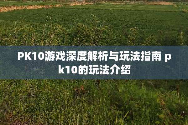 PK10游戏深度解析与玩法指南 pk10的玩法介绍 PK10游戏深度解析与玩法指南 pk10的玩法介绍