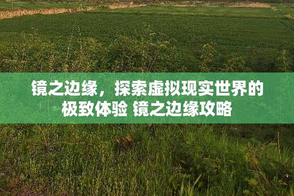 镜之边缘,探索虚拟现实世界的极致体验 镜之边缘攻略 镜之边缘,探索虚拟现实世界的极致体验 镜之边缘攻略