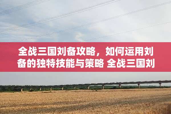 全战三国刘备攻略，如何运用刘备的独特技能与策略 全战三国刘备攻略